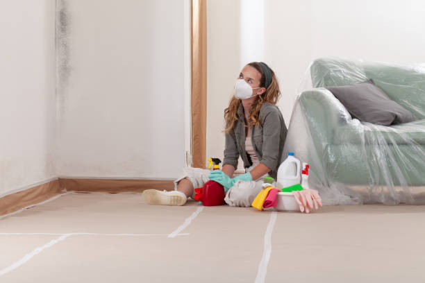 Reliable Black Mold Remediation contractor in Holland, TX by Mold Remediation HQ
